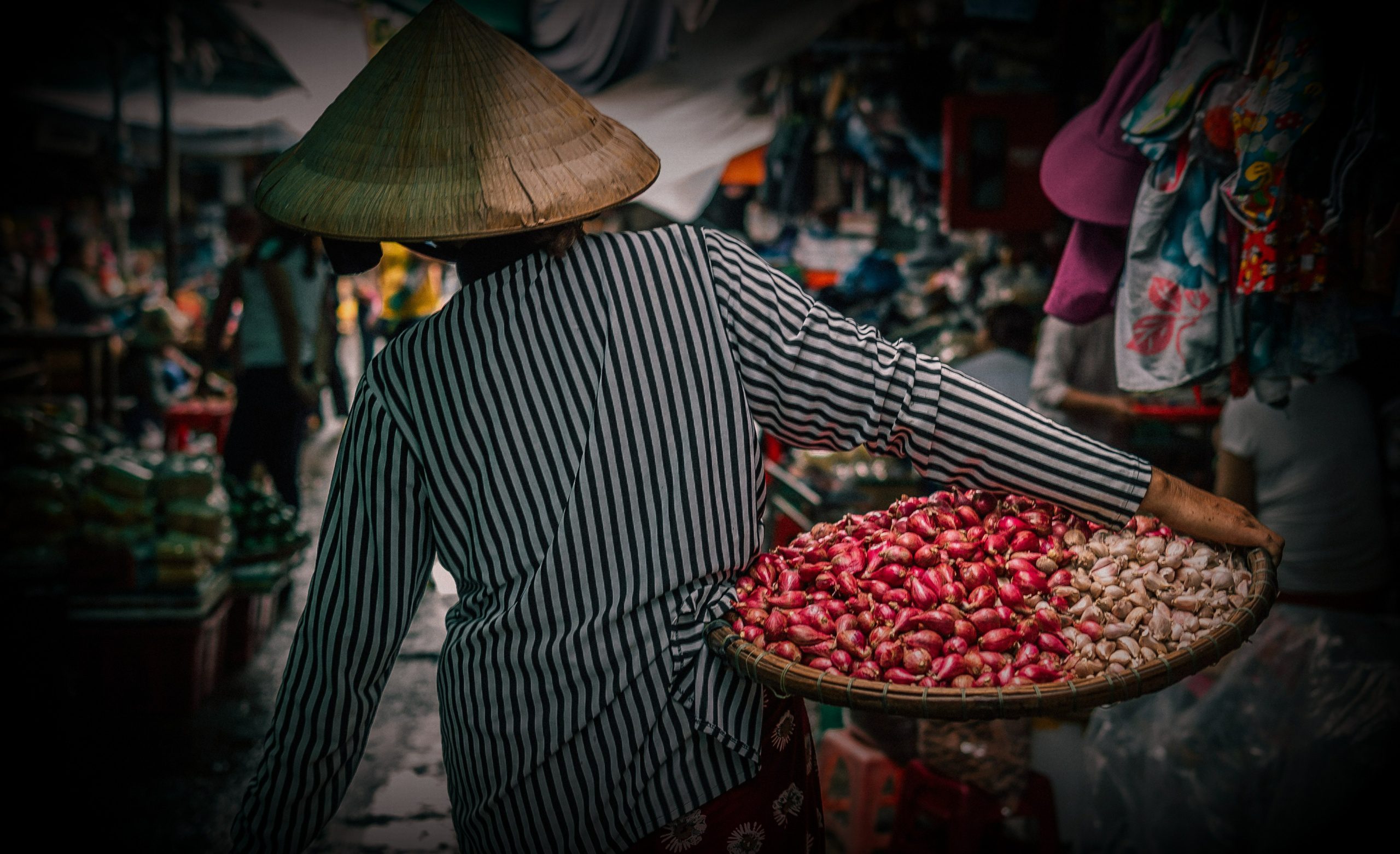alice-young-L5mvKk4vi8A-unsplash